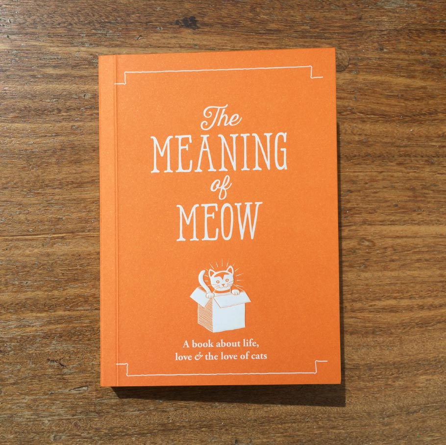 The Meaning of Meow